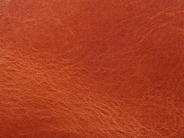 Primavera konjakki 06