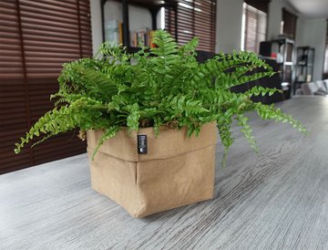 Wash Paper bag 94910601